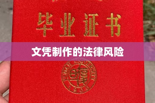 富里文凭制作的法律风险