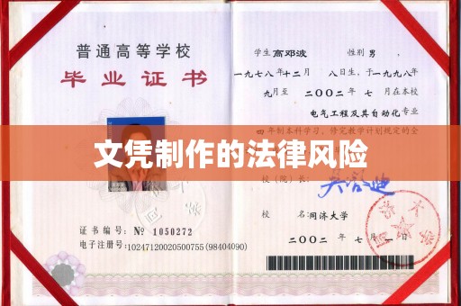 富里文凭制作的法律风险