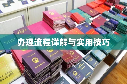 富里办理流程详解与实用技巧