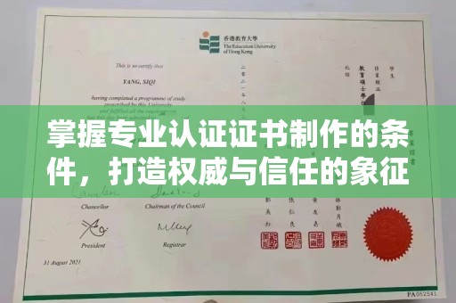 富里掌握专业认证证书制作的条件，打造权威与信任的象征
